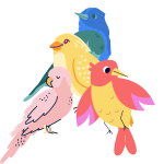 Burung Kingdom